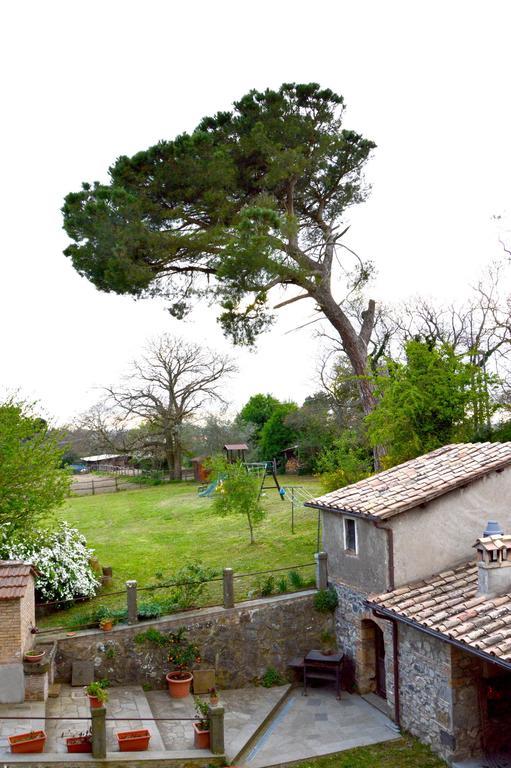 Agriturismo Tenuta Buon Respiro ออร์เวียโต ภายนอก รูปภาพ