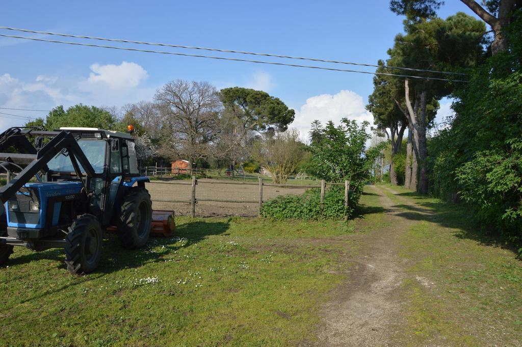 Agriturismo Tenuta Buon Respiro ออร์เวียโต ภายนอก รูปภาพ