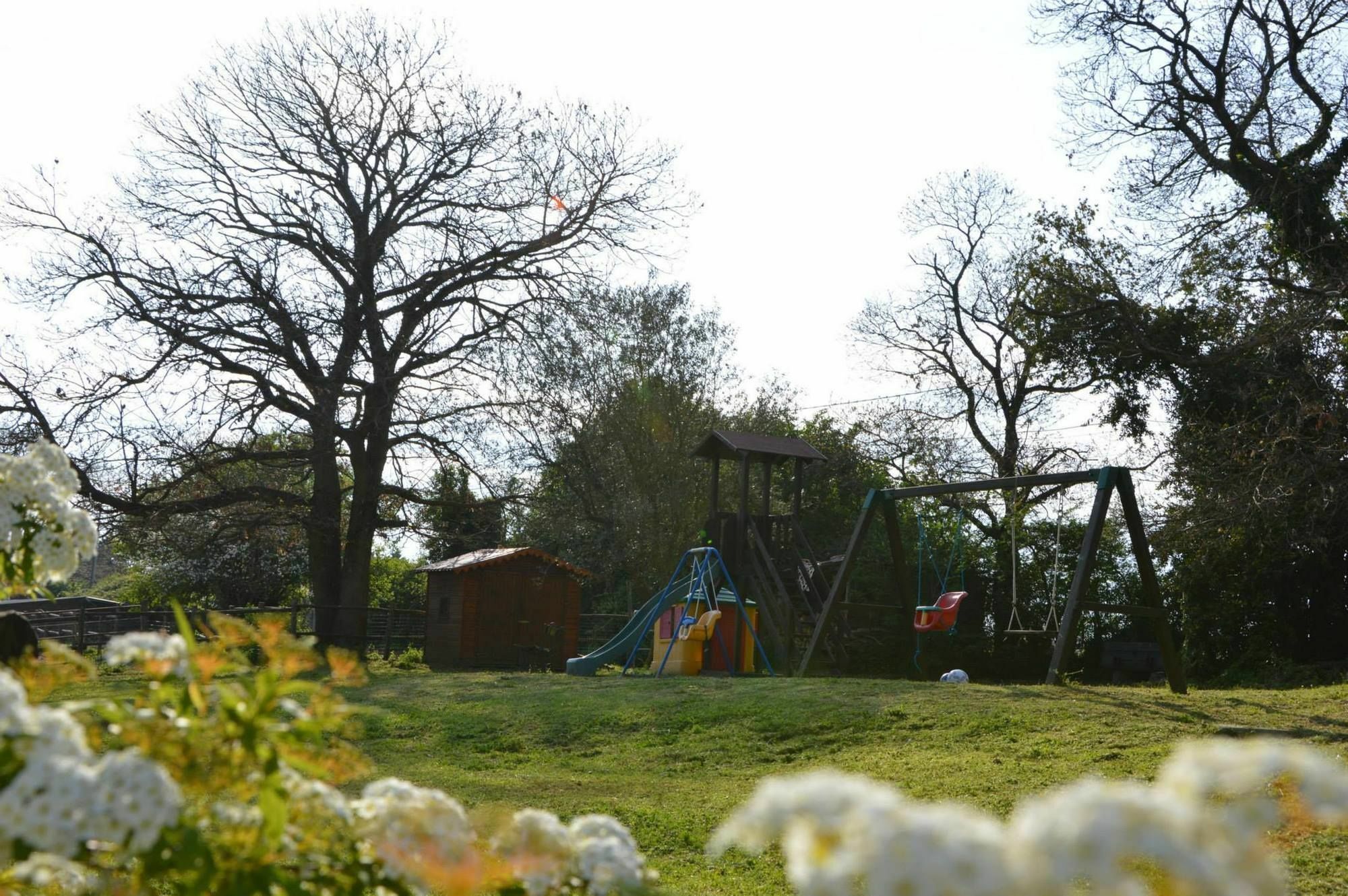 Agriturismo Tenuta Buon Respiro ออร์เวียโต ภายนอก รูปภาพ